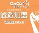 coco奶茶全国招商加盟火爆进行中！