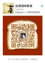 数千万斤新余蜜桔急售!图片