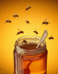 蜂产品生产许可证审查细则河北省