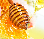 蜂产品生产许可证专业代办山西省