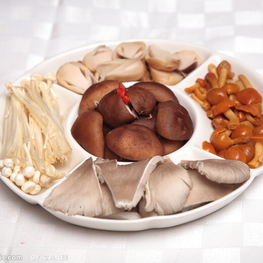 食用菌制品生产许可证代办河北省