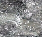 安徽合肥常年回收废烫金纸pet，电化铝