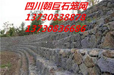 德阳石笼网厂家、德阳石笼网箱、德阳格宾网、德阳河堤防护网图片3