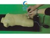 兒童股靜脈與股動脈穿刺訓練模型