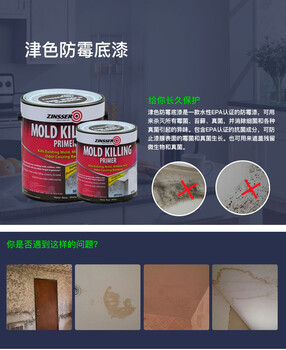 防霉抗碱的——美国进口爱丽RUST-OLEUM