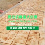 乌海混凝土压模地坪施工队包工包料图片2