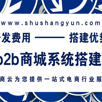 怎么知道外贸b2b网站批发系统定制步骤