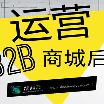 汽配b2b电商立系统平台定制如何开发