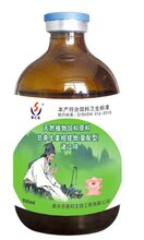 诸立停图片