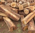 木材进口税金/原木进口关税