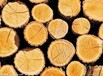 三门峡各种规格方木价格