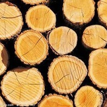 常州木结构建筑用木材