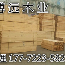 滁州落葉松木方價格圖片