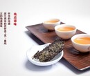 最新茯砖黑茶怎么泡图片