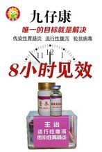 金葵花九仔康专治病毒性腹泻图片
