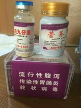 九仔康可治疗产床仔猪流行性腹泻了,各位猪场老板都看看了!图片