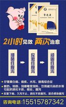 金葵花-常速康:专治断奶应激性腹泻,拌料或者饮水2天即可,不伤猪!图片