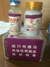 破解猪场病毒腹泻,使刚出生的仔猪免受灭顶之灾建议收藏图片