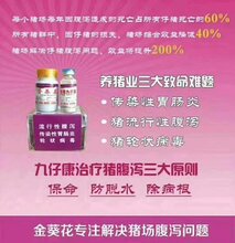 传染性胃肠炎,流行性腹泻等病毒性腹泻就选:金葵花-九仔康图片