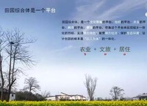 中阳县模板案例项目建议书来千寻中心图片3