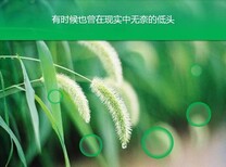 西丰县千寻撰写节能评估报告难易程度划分图片4