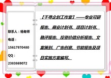 于洪千寻企划代做冶金类项目实施方案图片2