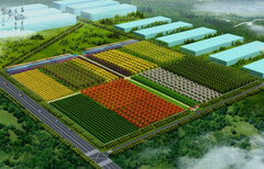 玉树县千寻企划编制农业示范园项目节能评估报告图片5