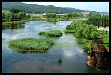 涿州中央厨房项目运营方案供应中心4图片0