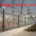 阳江小区栏杆价格深圳体育场护栏供应珠海别墅围栏现货图片3