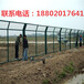 梅州公园围网厂家佛山池塘隔离网定做韶关公路护栏网厂家
