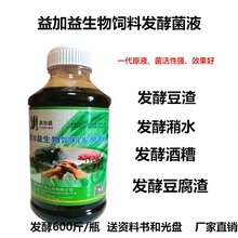 养猪泔水发酵剂多少钱图片