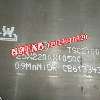 潞城Q345R（R-HIC）抗硫化氢腐蚀Q345R（R-HIC）