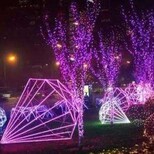 2017圣诞灯光节策划兔费设计策划现货供应杭州西湖图片3