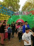 风车乐园打造春季浪漫风车节图片0