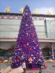 大型圣诞树销售制作