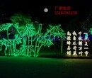 枣庄时尚梦幻灯光节造型设计厂家灯光秀出售