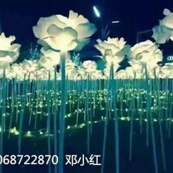 潍坊梦幻灯光节五彩灯光展设计定制工厂