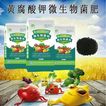 抗重茬?治根腐?強(qiáng)壯苗?克病菌?抗鹽堿?保地溫河北宏邦生物黃腐酸鉀微生物菌肥