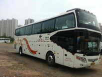 (客車)晉江到普定的營運大巴客車汽車時刻表查詢)圖片0