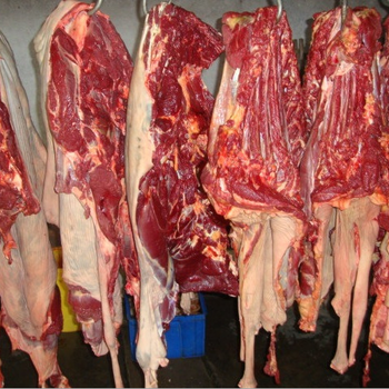 河北批发新鲜冷冻驴肉驴肉价格一件20公斤品质倡导