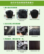 一洗黑洗发水生产厂家广州卡姿莱生物科技有限公司专业帖牌代加工