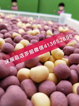 沫辰良食鋪輔食代理團(tuán)隊(duì)總店莎姐等級(jí)費(fèi)用漲價(jià)嗎？良食鋪公司介紹？