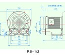 高压打气泵rb-1/2污水处理瀑气环形高压风机图片