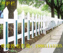 绿化带围栏栅栏防踩踏小护栏各式锌钢小栅栏制作图片