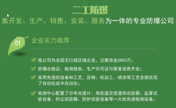 供应琴台式正压型防爆电气控制柜防爆配电柜厂家图片4