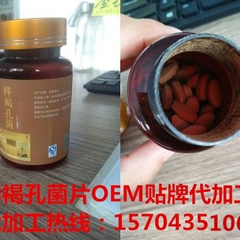 桦褐孔菌片白桦茸片贴牌代加工