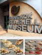 曼谷贝壳博物馆曼谷贝壳博物馆介绍贝壳红供