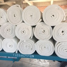 山東雙面針刺纖維毯雙面針刺甩絲毯拉力強(qiáng)生產(chǎn)廠家圖片