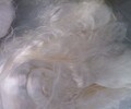 江蘇省南通市求購絲綿、枕頭棉、被子棉、絲綿邊角料等