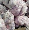 廣東省廣州市出售布碎，針織布碎，滌棉布碎，擦機布等